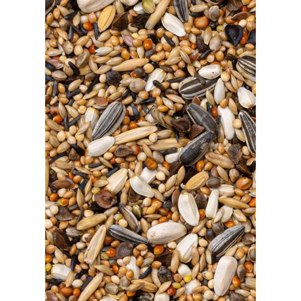 28222 DELİ NATURE PREMİUM LARGE PAREKEETS PAREKET YEMİ 1000GR 10LU