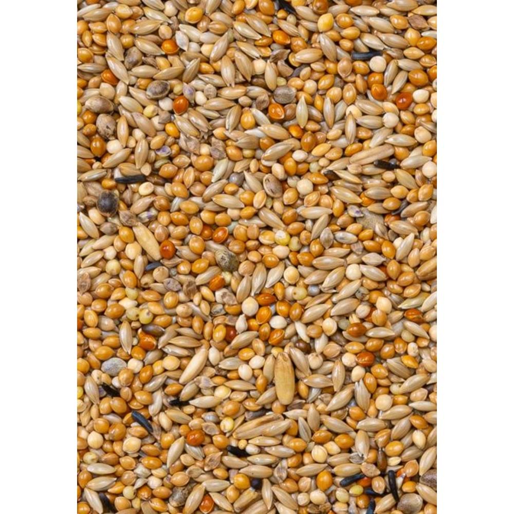 28421 DELİ NATURE PREMİUM MUHABBET YEMİ 1100GR 10LU