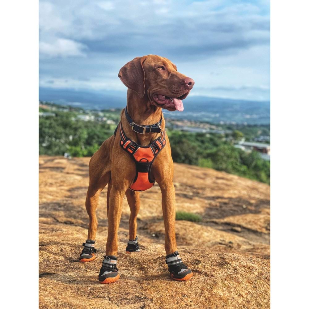 10360813 M-PETS HIKING KÖPEKLER İÇİN AYAKKABI #6 L