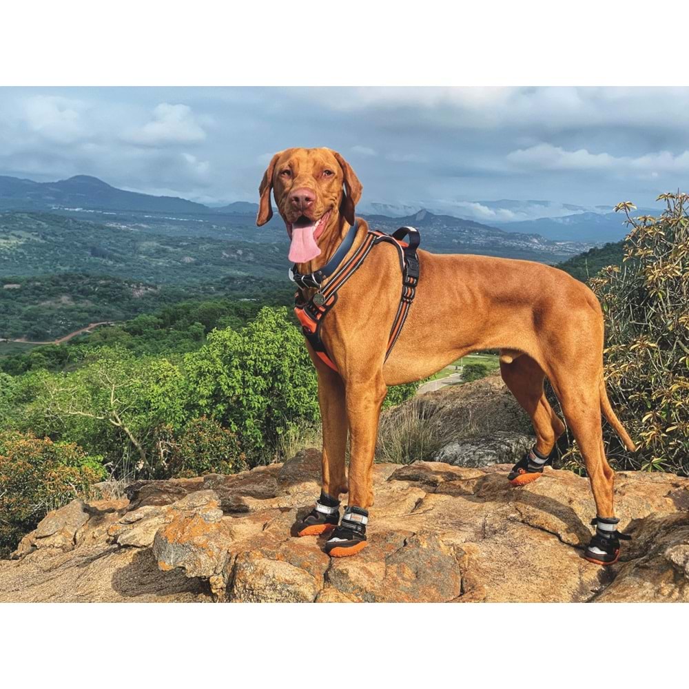 10360813 M-PETS HIKING KÖPEKLER İÇİN AYAKKABI #6 L