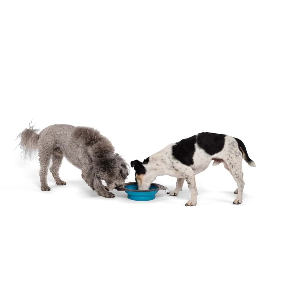 10552499 M-PETS ON THE ROAD KATLANABİLEN MAMA KABI (M) 750ML TURKUAZ/BROWN