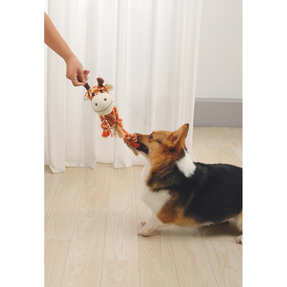 10644199 M-PETS ZIA KÖPEK OYUNCAĞI