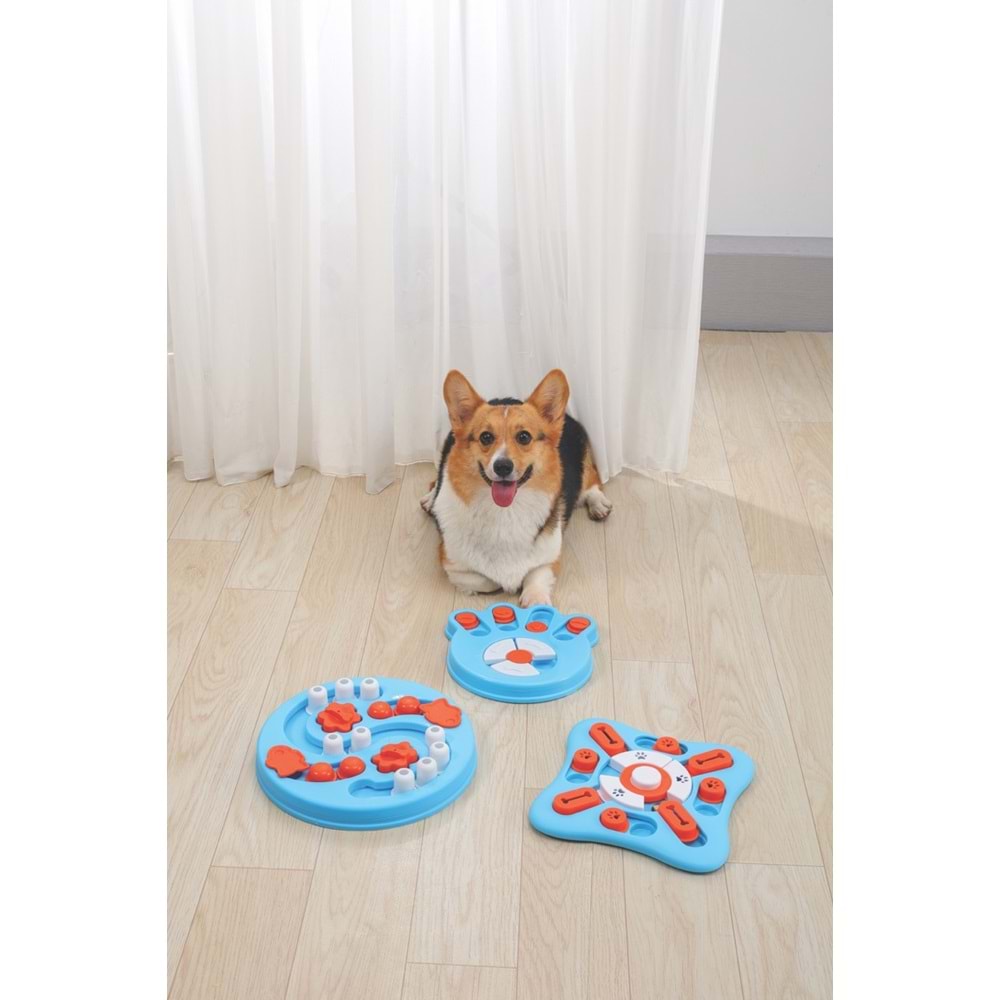 10650199 M-PETS BRAINY GAMES EINSTEIN PUZZLE 3.SEVİYE