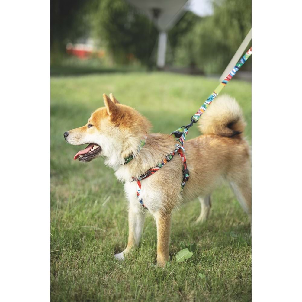 10834599 M-PETS URBAN STYLE FREESTYLE GEZDİRME (XS)