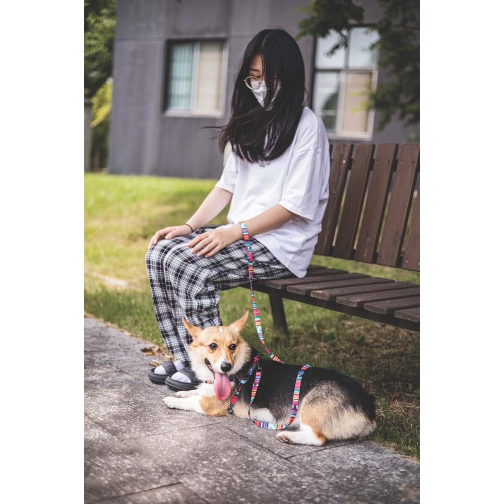 10835799 M-PETS URBAN STYLE JAZZ STRIPES GEZDİRME (XS)