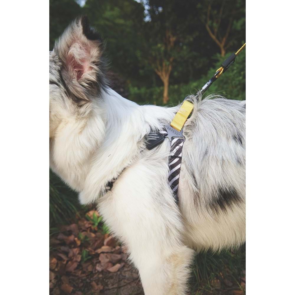 10836899 M-PETS WILD SAFARI LEASH REGULAR (S-M)