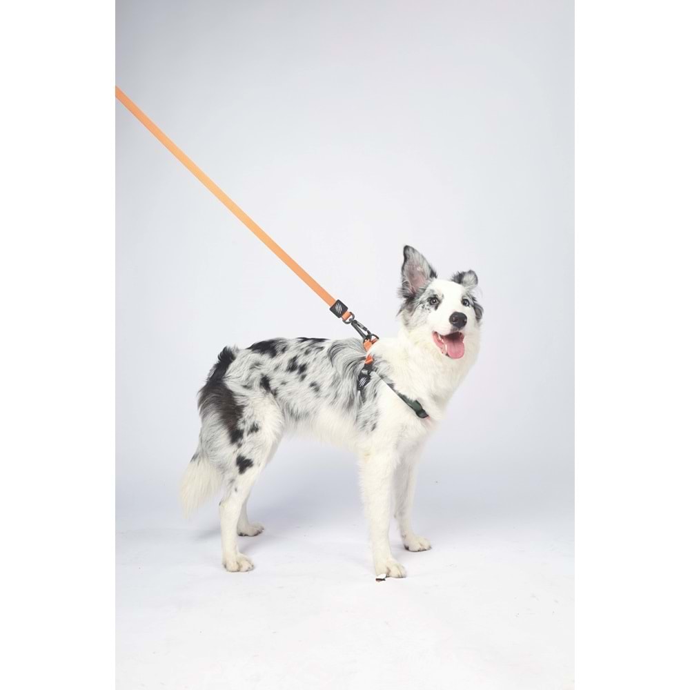 10838199 M-PETS WILD JUNGLE LEASH REGULAR (S-M)