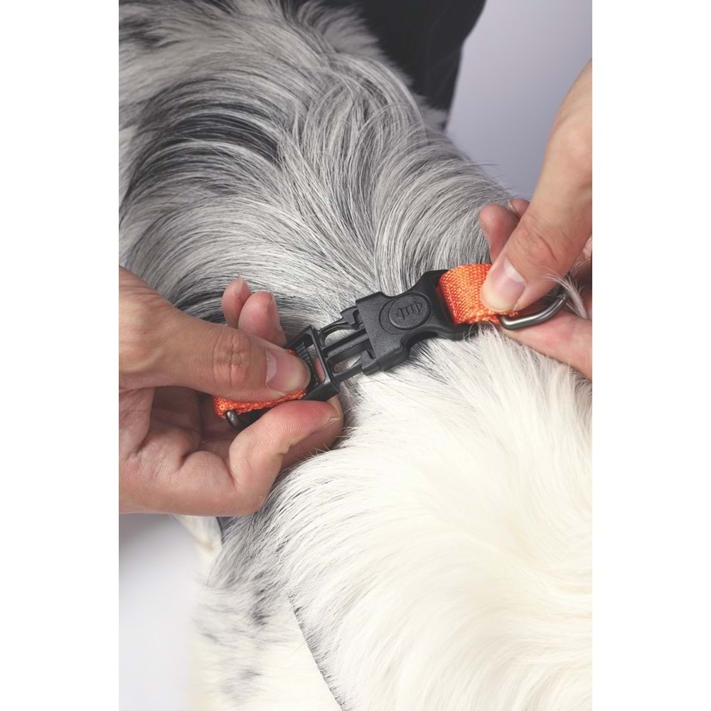 10838999 M-PETS WILD JUNGLE HARNESS (M)