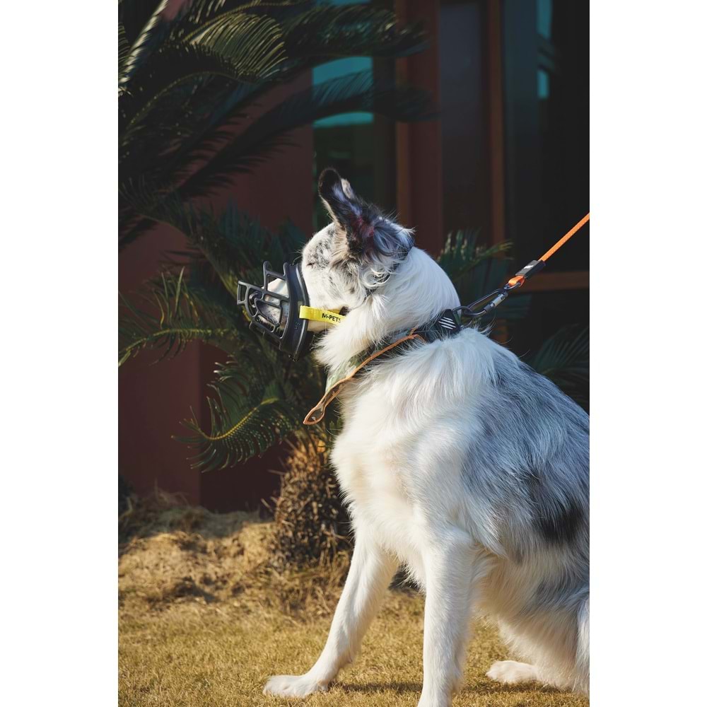 10845699 M-PETS BARK GUARD AĞIZLIK (XL) BLACK/YELLOW