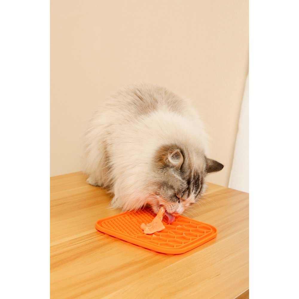 19038199 M-PETS CREAMY TON BALIKLI KARİDESLİ KEDİ ÖDÜLÜ 4X15GR