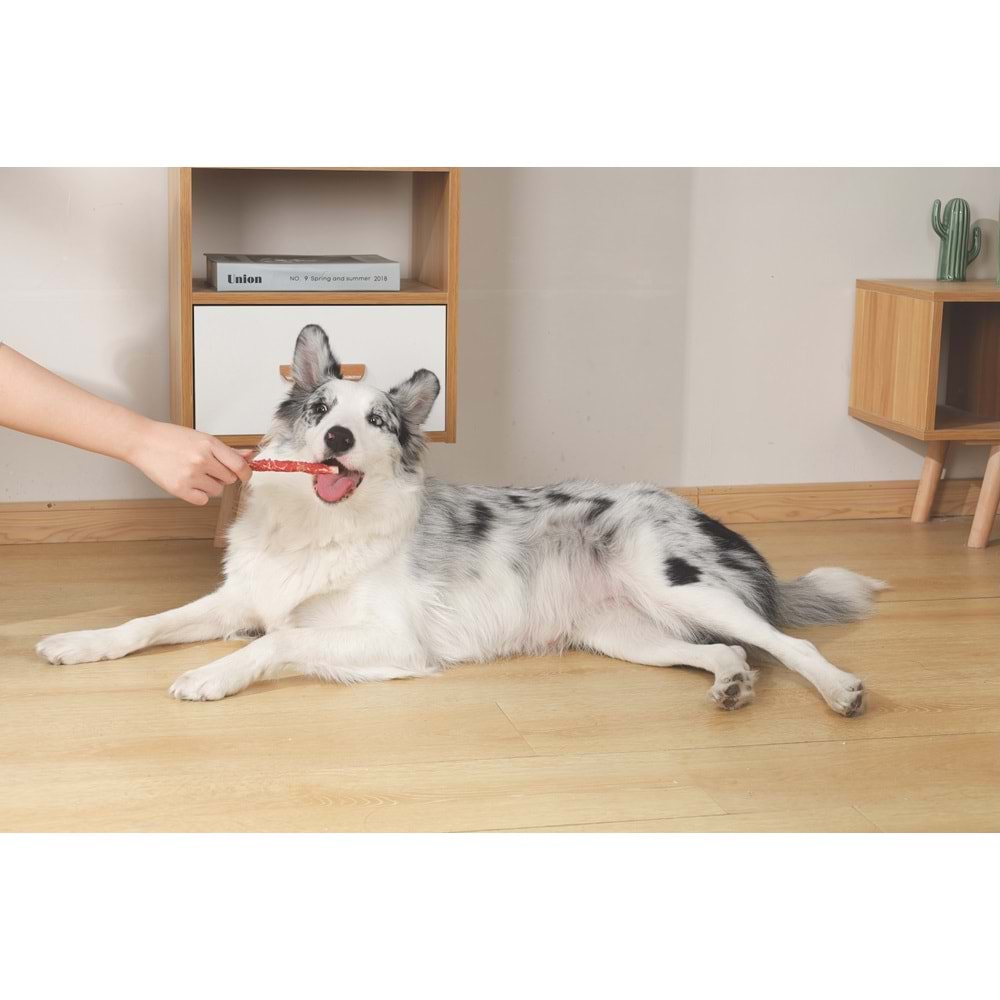 19042799 M-PETS BITE DELIGHT DUCK WİTH CODFİSH WRAP 13CM KÖPEK ÖDÜLÜ 2KG