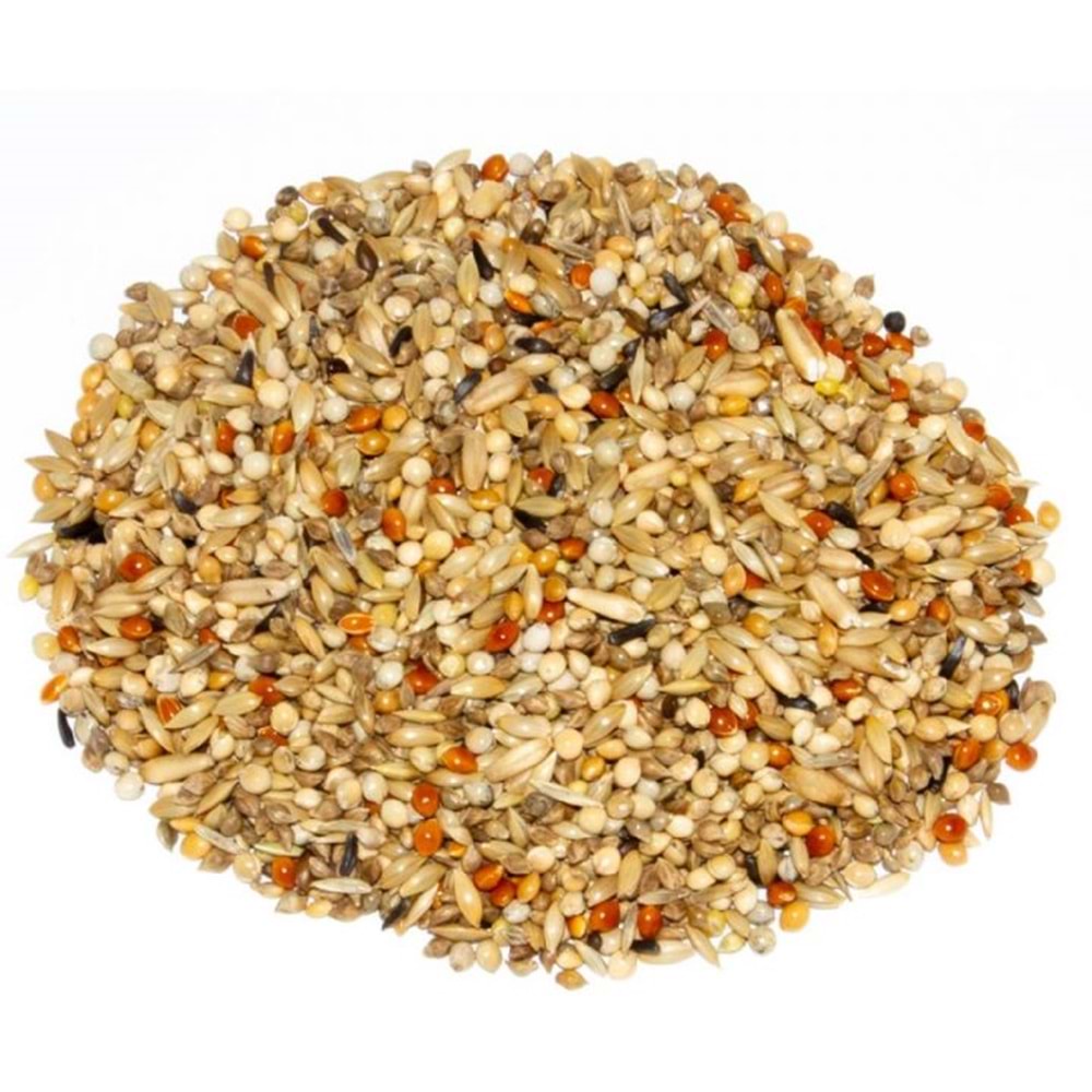 21290 DELİ NATURE 74 DANIEL LUTOLF SUPER CHAMPION EXCLUSIVE MUHABBET KUŞU ÜRETİM YEMİ 20KG