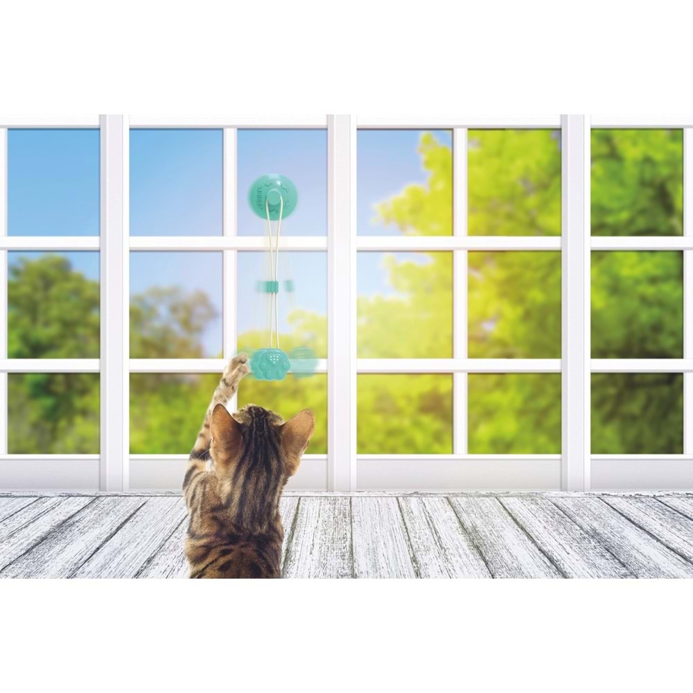 20602699 M-PETS TAMPO CATNİPLİ KEDİ OYUNCAĞI ÖDÜL HAZNELİ