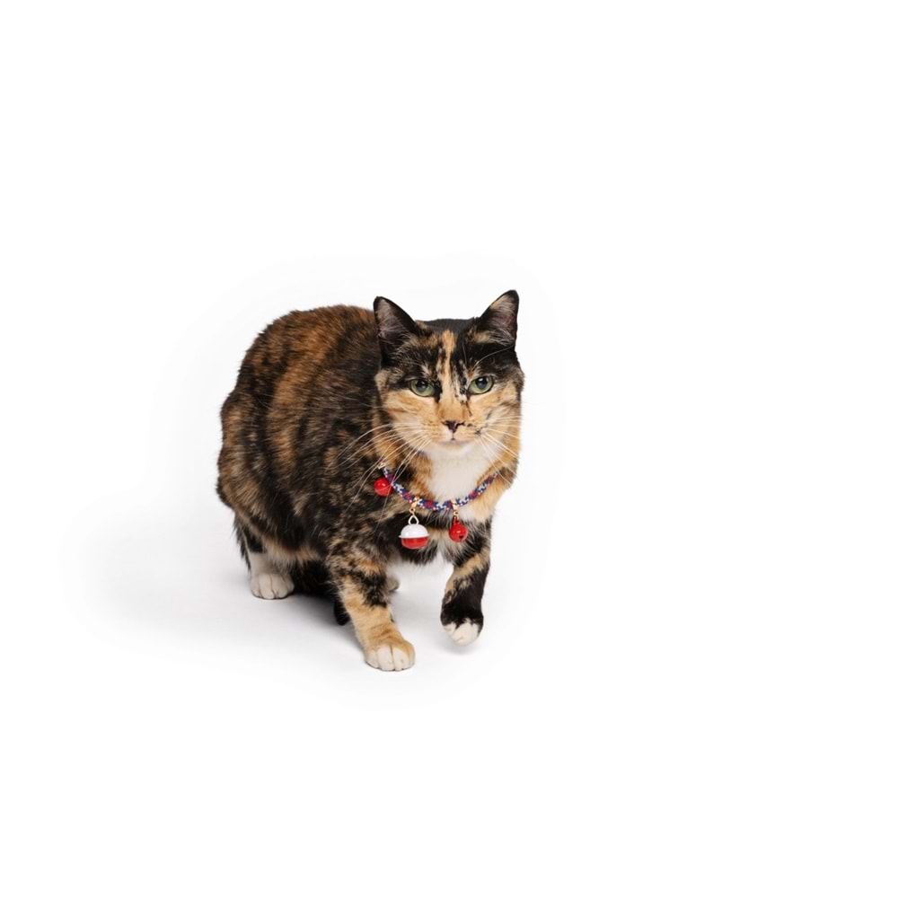 20800599 M-PETS PIXIE KEDİ BOYUN ZİLLİ TASMASI MİX COLOR