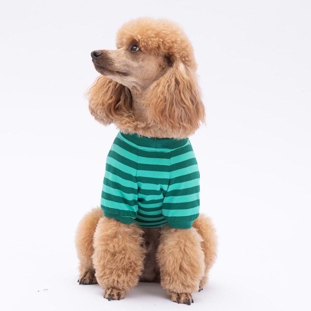 25707-PAWSTAR YEŞİL TİGGER SWEAT 5Lİ SET (M-L-L-XL-2XL)