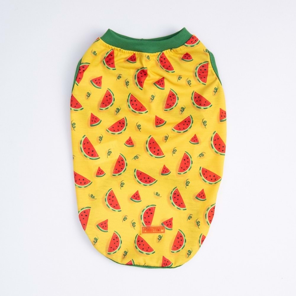 25852-PAWSTAR WATERMELON BÜYÜK TİŞÖRT 5Lİ SET (3XL-4XL-5XL-6XL-7XL)