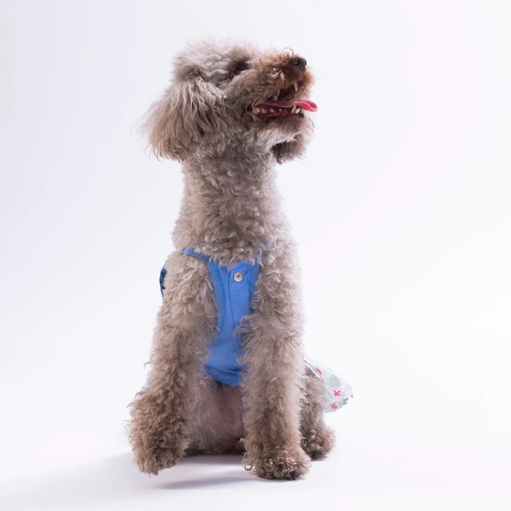 26313-PAWSTAR RUBY SLİCE DENİM ELBİSE 5Lİ SET (S-M-L-L-XL)