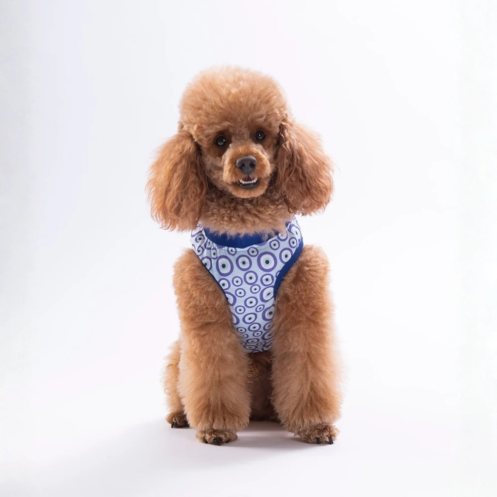 26826-PAWSTAR CHARM TSHİRT 6LI SET (S-M-L-L-XL-2XL)