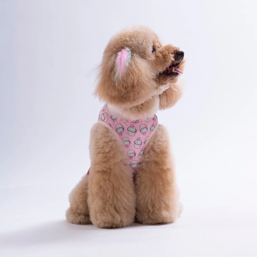 26840-PAWSTAR CUPCAKE TSHİRT 6LI SET (S-M-L-L-XL-2XL)