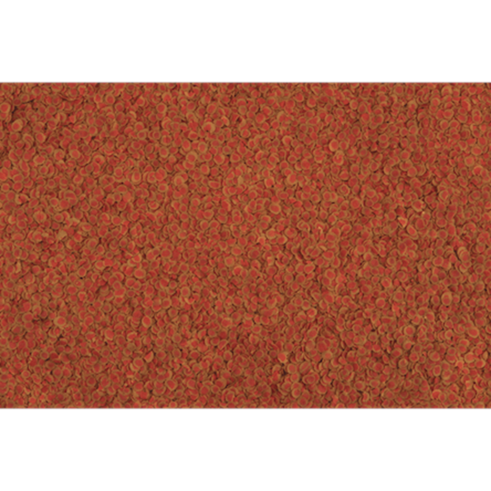 708473-TETRA PRO COLOUR 10LT KOVA