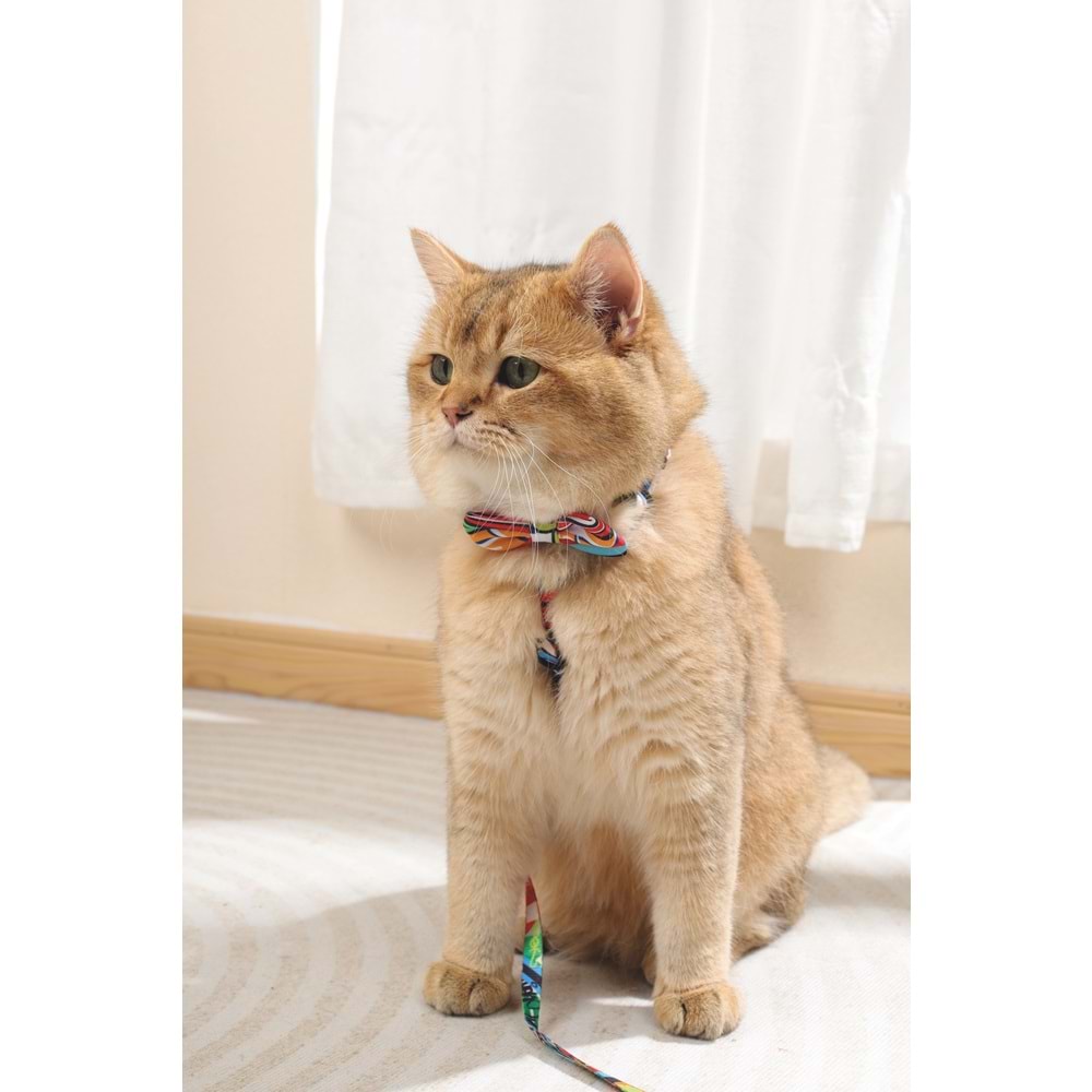 60800499 M-PETS URBAN STYLE FREESTYLE PAPYON (XS-S)