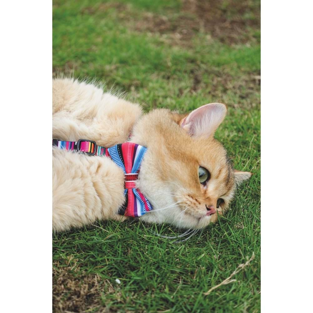 60800599 M-PETS URBAN STYLE JAZZ STRIPES PAPYON (M)