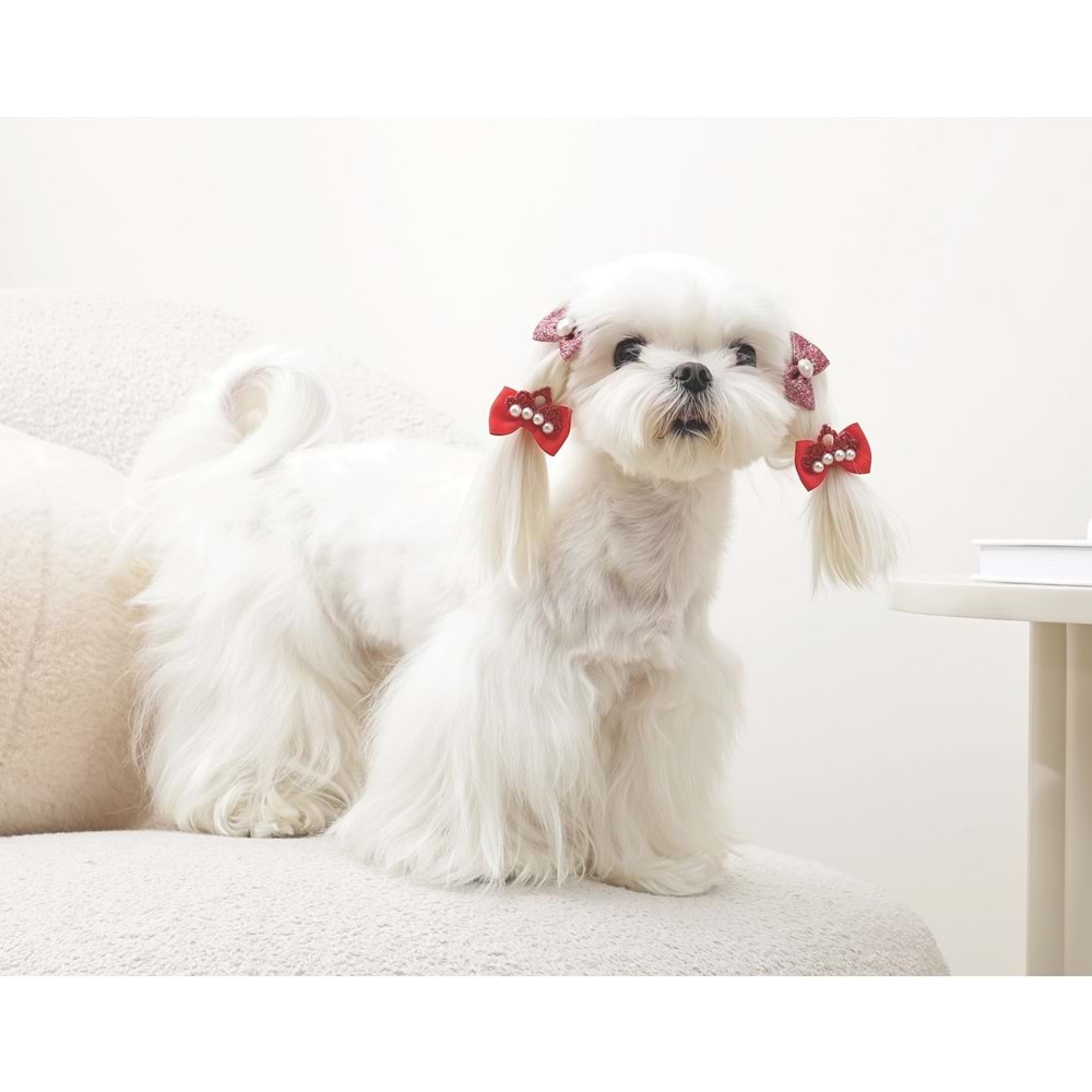 60900599 M-PETS GLAM KÖPEKLER İÇİN AKSESUAR TOKA RED
