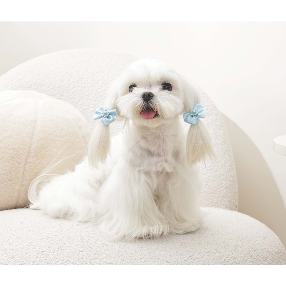 60900699 M-PETS GLAM KÖPEKLER İÇİN AKSESUAR TOKA BLUE
