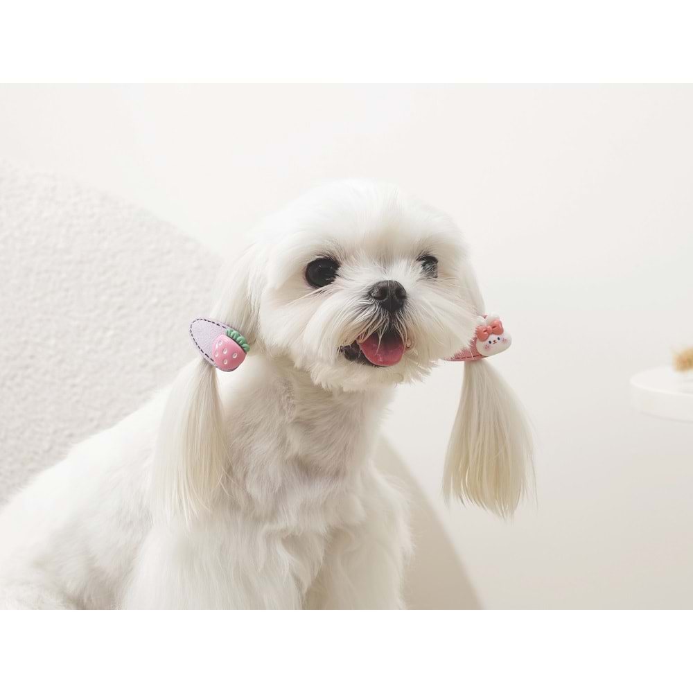 60901699 M-PETS GLAM KÖPEKLER İÇİN AKSESUAR TOKA PİNK