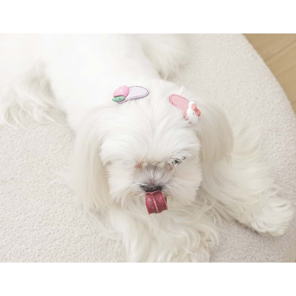 60901699 M-PETS GLAM KÖPEKLER İÇİN AKSESUAR TOKA PİNK