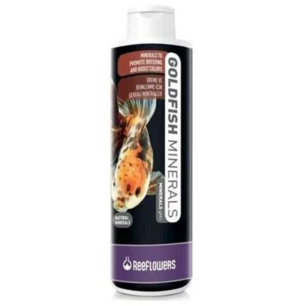 GF50-REEFLOWERS GOLDFİSH 50CC