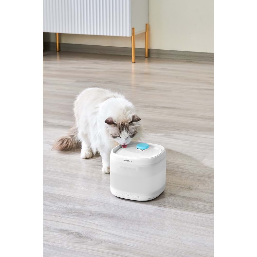 PAWGETHER PURE 3S OTOMATİK SU SEBİLİ 2L