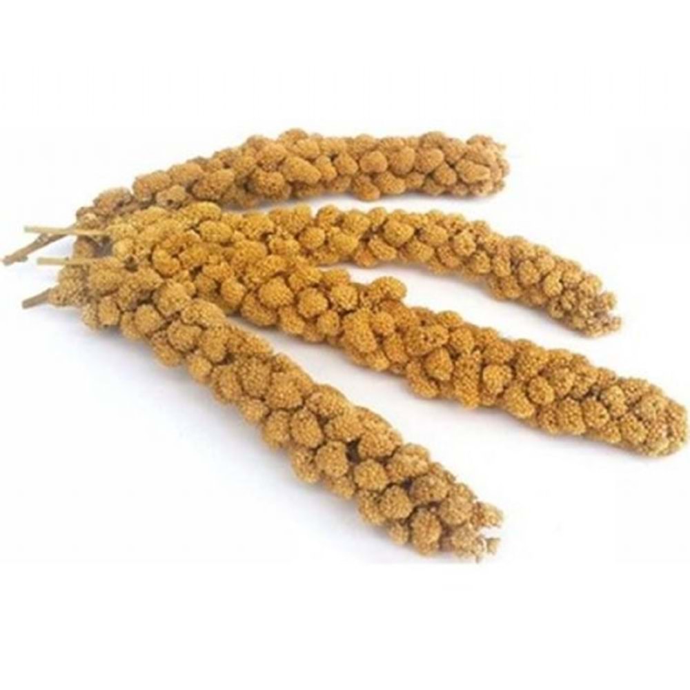 FLY BEST DOĞAL DAL DARI İTHAL 15KG