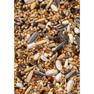 28222 DELİ NATURE PREMİUM LARGE PAREKEETS PAREKET YEMİ 1000GR 10LU