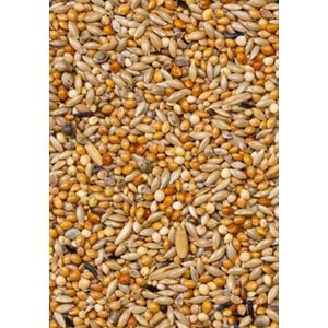 28421 DELİ NATURE PREMİUM MUHABBET YEMİ 1100GR 10LU