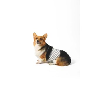 10169699 M-PETS ERKEK KÖPEKLER İÇİN YIKANABİLİR KÜLOT (L)