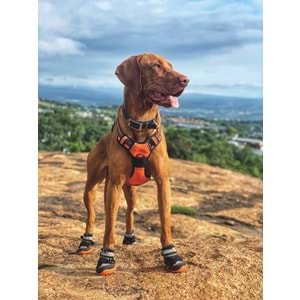 10360813 M-PETS HIKING KÖPEKLER İÇİN AYAKKABI #6 L