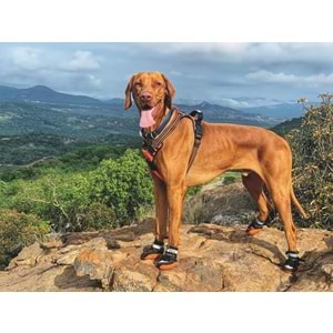 10360813 M-PETS HIKING KÖPEKLER İÇİN AYAKKABI #6 L