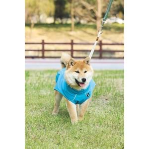 10362617 M-PETS DOG RAIN COAT YAĞMURLUK (XL)
