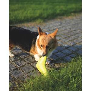 10614999 M-PETS SPLASH BOOMERANGS FLOATING OYUNCAK