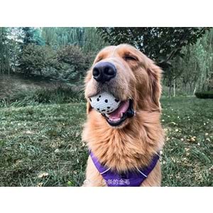 10643499 M-PETS BLOOM BALL OYUN TOPU PARÇALANMAZ WHİTE/BLACK