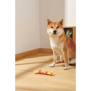 10650699 M-PETS CARNIVORE DOG TOY STICK BONE PASTIRMA AROMALI