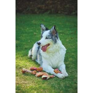 10661799 M-PETS CARNIVORE DOG TOY SPARE RIBS PASTIRMA AROMALI