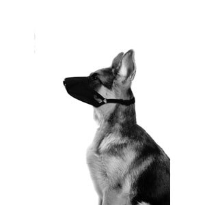 10812299 M-PETS FLEXI BEZ AĞIZLIK (M)