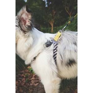 10836899 M-PETS WILD SAFARI LEASH REGULAR (S-M)