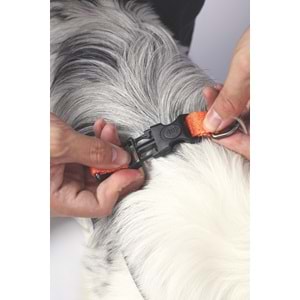 10838999 M-PETS WILD JUNGLE HARNESS (M)