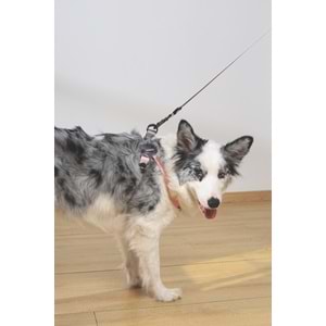 10848899 M-PETS GENTLE DOG GEZDİRME KAYIŞI (M) PİNK