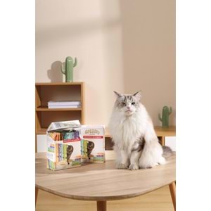 19041699-M-PETS 4 LEZZET KARIŞIK KEDİ CREAMY 40+8 BEDELSİZ 48X15GR