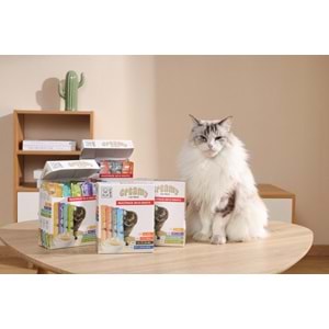 19041799-M-PETS 4 LEZZET KARIŞIK KEDİ CREAMY 40+8 BEDELSİZ 48X15GR