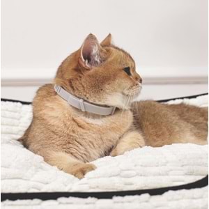 20123299 M-PETS KEEP CALM CALMİNG SAKİNLEŞTİCİ KEDİ TASMASI GRİ